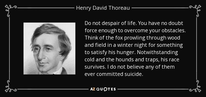 Do not despair of life. You have no doubt force enough to overcome your obstacles. Think of the fox prowling through wood and field in a winter night for something to satisfy his hunger. Notwithstanding cold and the hounds and traps, his race survives. I do not believe any of them ever committed suicide. - Henry David Thoreau