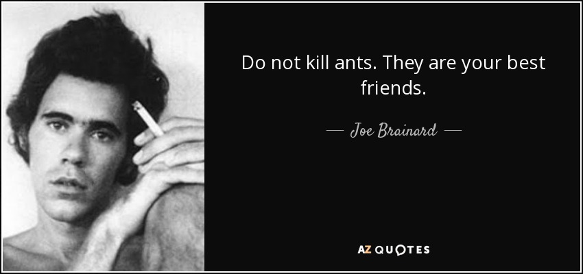 Do not kill ants. They are your best friends. - Joe Brainard