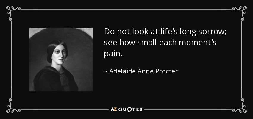Do not look at life's long sorrow; see how small each moment's pain. - Adelaide Anne Procter
