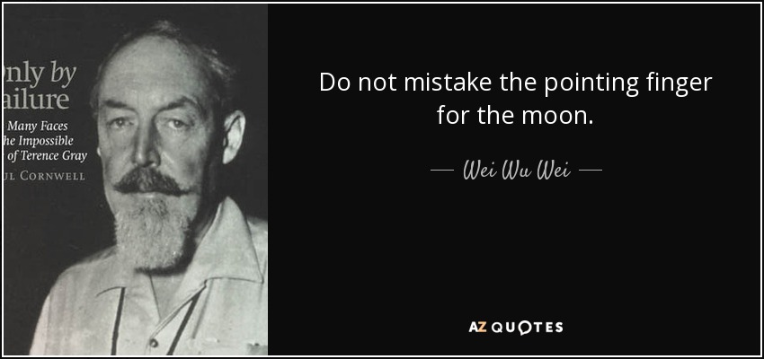 Do not mistake the pointing finger for the moon. - Wei Wu Wei
