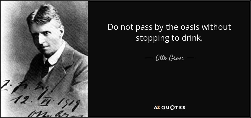 Do not pass by the oasis without stopping to drink. - Otto Gross