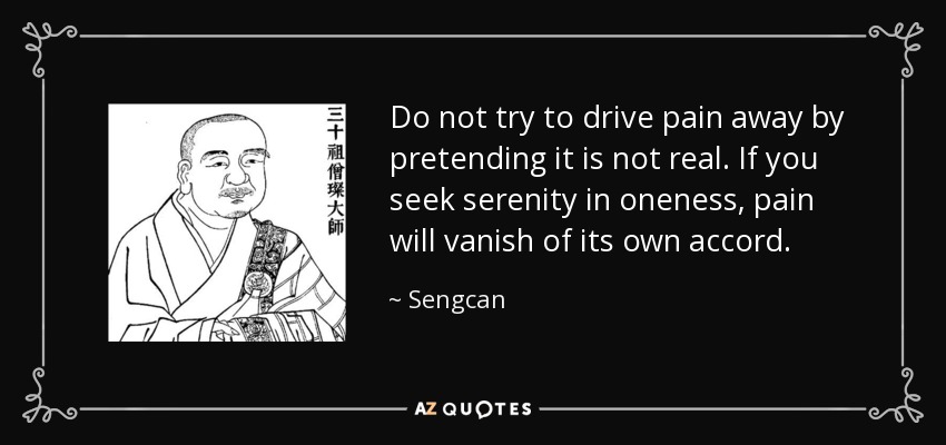 Do not try to drive pain away by pretending it is not real. If you seek serenity in oneness, pain will vanish of its own accord. - Sengcan