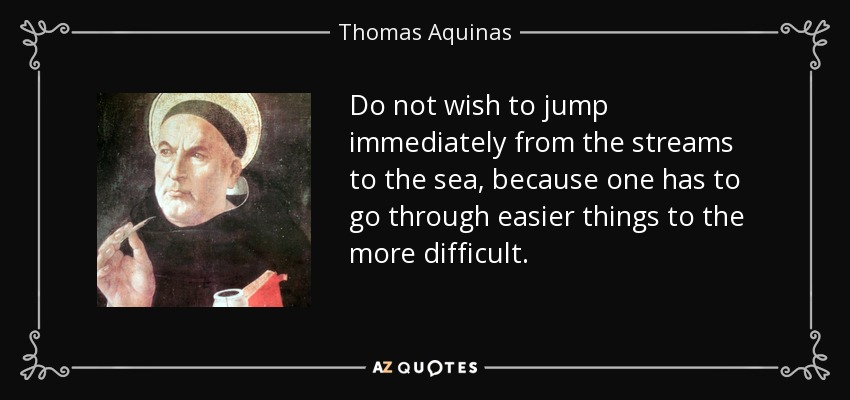 Do not wish to jump immediately from the streams to the sea, because one has to go through easier things to the more difficult. - Thomas Aquinas