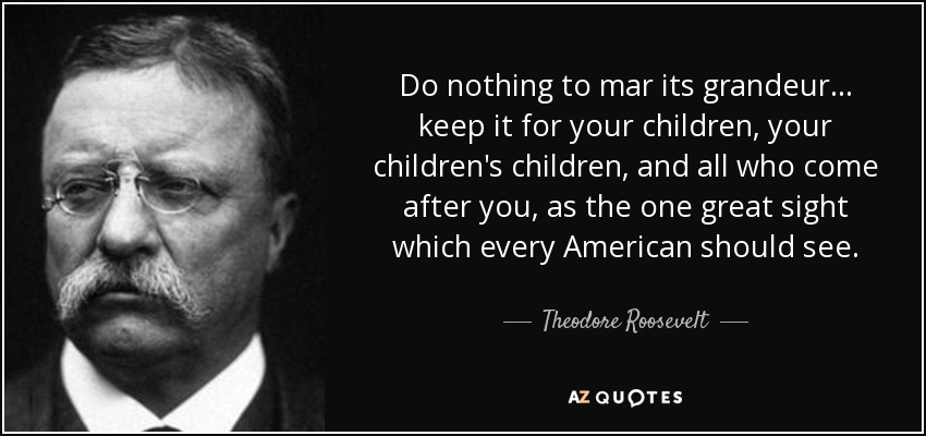 Do nothing to mar its grandeur ... keep it for your children, your children's children, and all who come after you, as the one great sight which every American should see. - Theodore Roosevelt