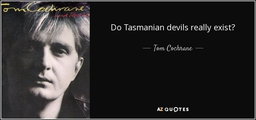 Do Tasmanian devils really exist? - Tom Cochrane