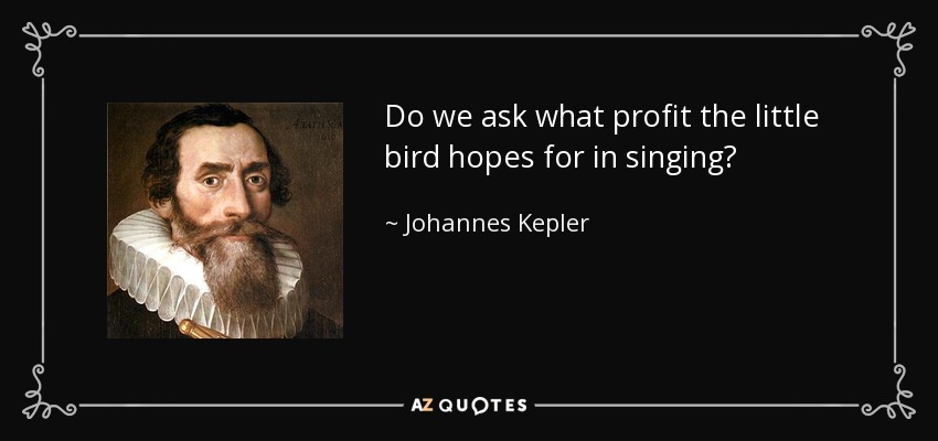 Do we ask what profit the little bird hopes for in singing? - Johannes Kepler