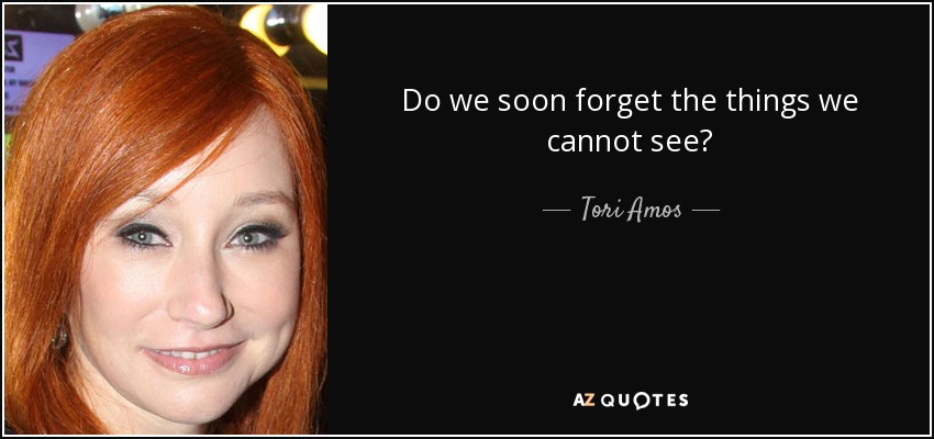 Do we soon forget the things we cannot see? - Tori Amos