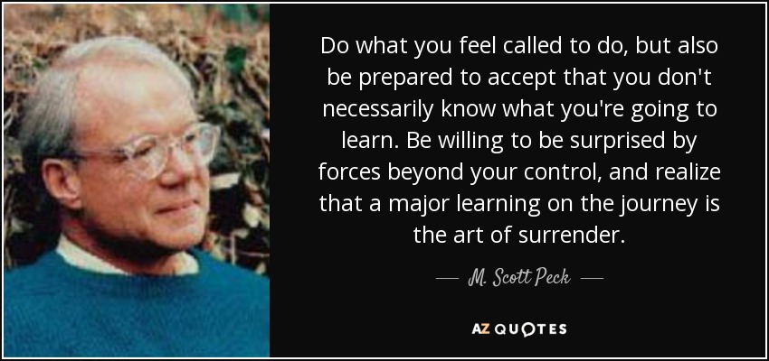Do what you feel called to do, but also be prepared to accept that you don't necessarily know what you're going to learn. Be willing to be surprised by forces beyond your control, and realize that a major learning on the journey is the art of surrender. - M. Scott Peck