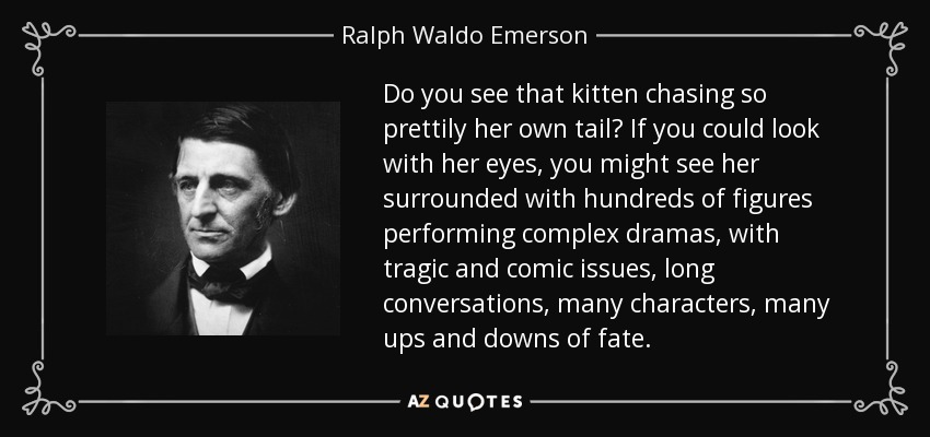 Do you see that kitten chasing so prettily her own tail? If you could look with her eyes, you might see her surrounded with hundreds of figures performing complex dramas, with tragic and comic issues, long conversations, many characters, many ups and downs of fate. - Ralph Waldo Emerson