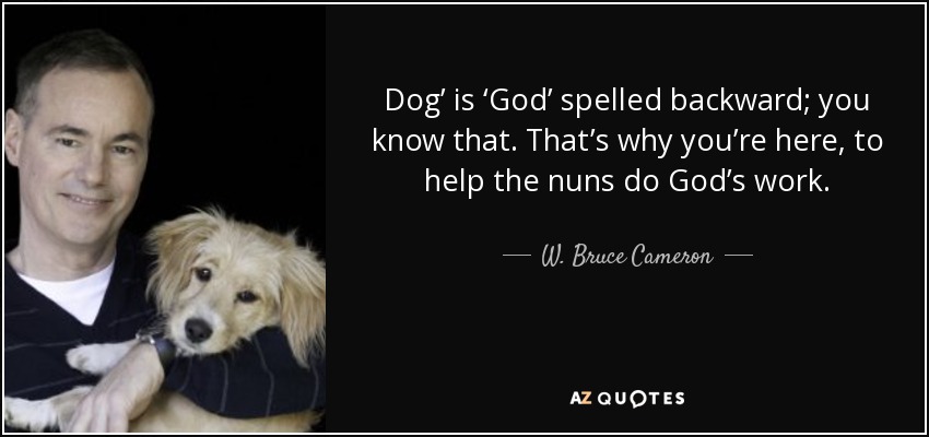 Dog’ is ‘God’ spelled backward; you know that. That’s why you’re here, to help the nuns do God’s work. - W. Bruce Cameron