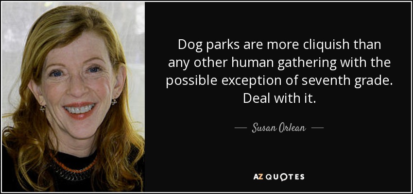 Dog parks are more cliquish than any other human gathering with the possible exception of seventh grade. Deal with it. - Susan Orlean