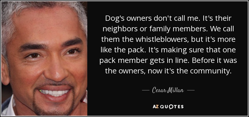Dog's owners don't call me. It's their neighbors or family members. We call them the whistleblowers, but it's more like the pack. It's making sure that one pack member gets in line. Before it was the owners, now it's the community. - Cesar Millan