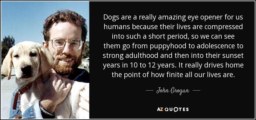 Dogs are a really amazing eye opener for us humans because their lives are compressed into such a short period, so we can see them go from puppyhood to adolescence to strong adulthood and then into their sunset years in 10 to 12 years. It really drives home the point of how finite all our lives are. - John Grogan