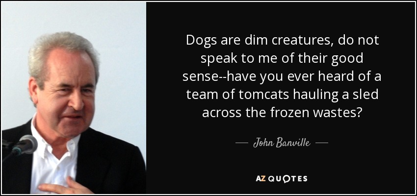 Dogs are dim creatures, do not speak to me of their good sense--have you ever heard of a team of tomcats hauling a sled across the frozen wastes? - John Banville