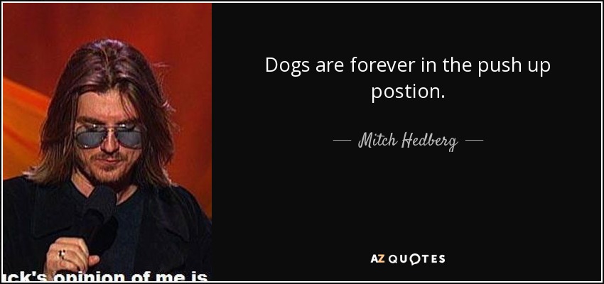 Dogs are forever in the push up postion. - Mitch Hedberg