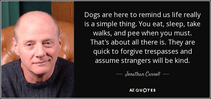 Dogs are here to remind us life really is a simple thing. You eat, sleep, take walks, and pee when you must. That's about all there is. They are quick to forgive trespasses and assume strangers will be kind. - Jonathan Carroll