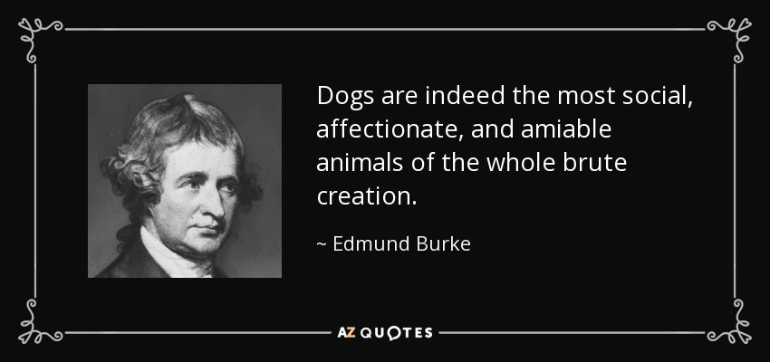 Dogs are indeed the most social, affectionate, and amiable animals of the whole brute creation. - Edmund Burke