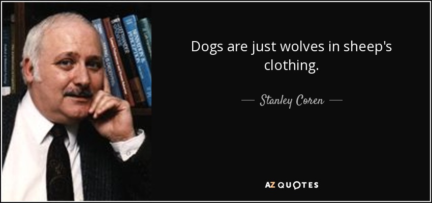 Dogs are just wolves in sheep's clothing. - Stanley Coren