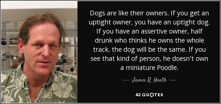 Dogs are like their owners. If you get an uptight owner, you have an uptight dog. If you have an assertive owner, half drunk who thinks he owns the whole track, the dog will be the same. If you see that kind of person, he doesn't own a miniature Poodle. - James R. Heath