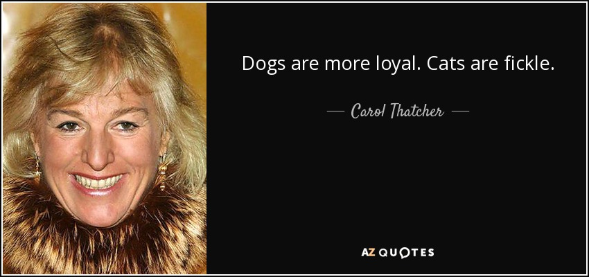 Dogs are more loyal. Cats are fickle. - Carol Thatcher