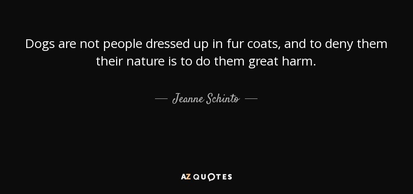 Dogs are not people dressed up in fur coats, and to deny them their nature is to do them great harm. - Jeanne Schinto