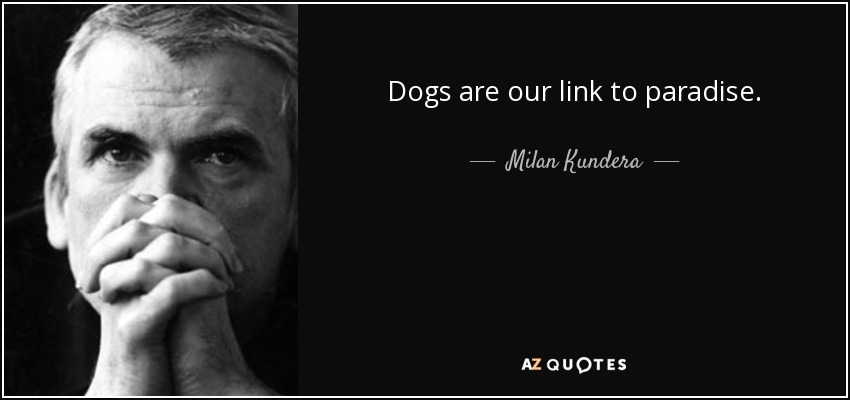 Dogs are our link to paradise. - Milan Kundera