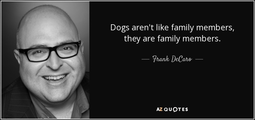 Dogs aren't like family members, they are family members. - Frank DeCaro
