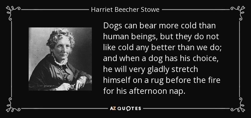 Dogs can bear more cold than human beings, but they do not like cold any better than we do; and when a dog has his choice, he will very gladly stretch himself on a rug before the fire for his afternoon nap. - Harriet Beecher Stowe
