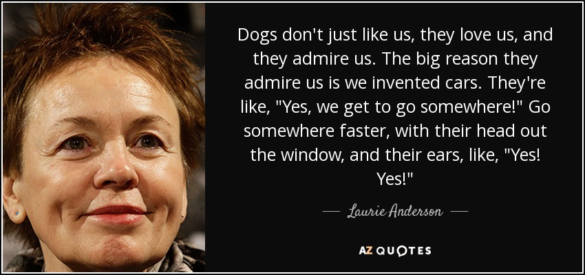 Dogs don't just like us, they love us, and they admire us. The big reason they admire us is we invented cars. They're like, 