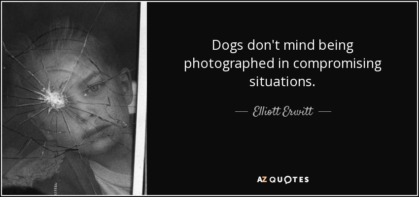 Dogs don't mind being photographed in compromising situations. - Elliott Erwitt