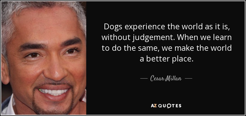 Dogs experience the world as it is, without judgement. When we learn to do the same, we make the world a better place. - Cesar Millan