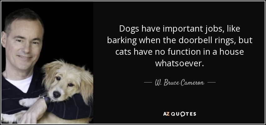 Dogs have important jobs, like barking when the doorbell rings, but cats have no function in a house whatsoever. - W. Bruce Cameron