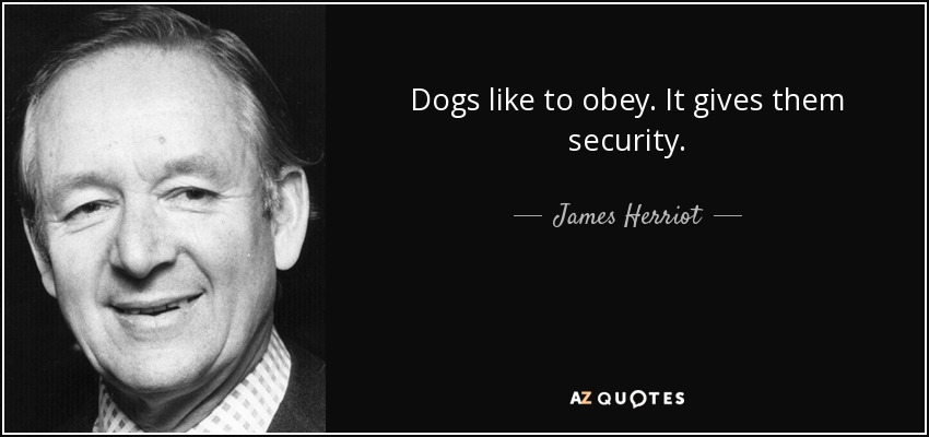 Dogs like to obey. It gives them security. - James Herriot