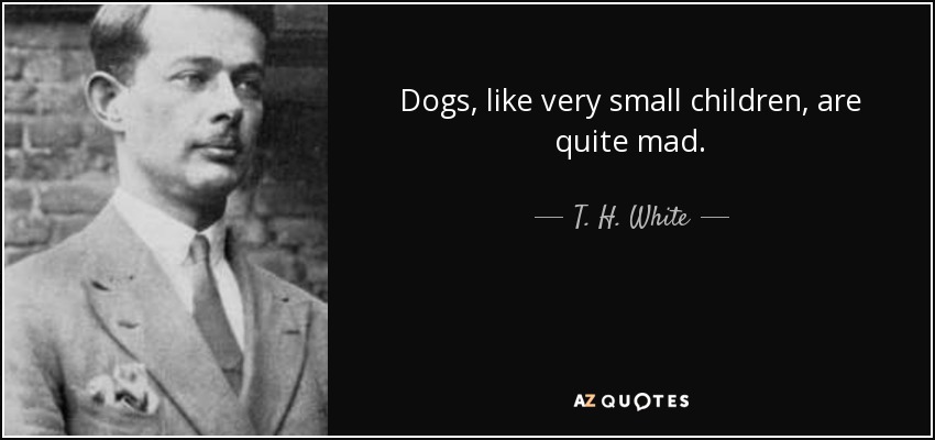 Dogs, like very small children, are quite mad. - T. H. White