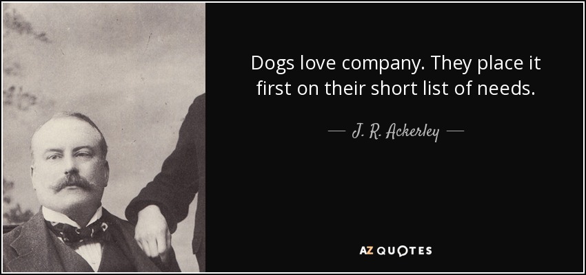 Dogs love company. They place it first on their short list of needs. - J. R. Ackerley