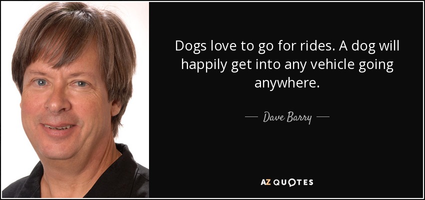 Dogs love to go for rides. A dog will happily get into any vehicle going anywhere. - Dave Barry