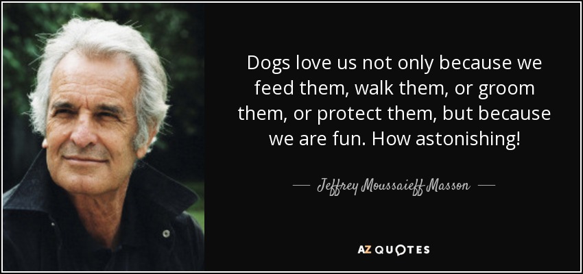 Dogs love us not only because we feed them, walk them, or groom them, or protect them, but because we are fun. How astonishing! - Jeffrey Moussaieff Masson