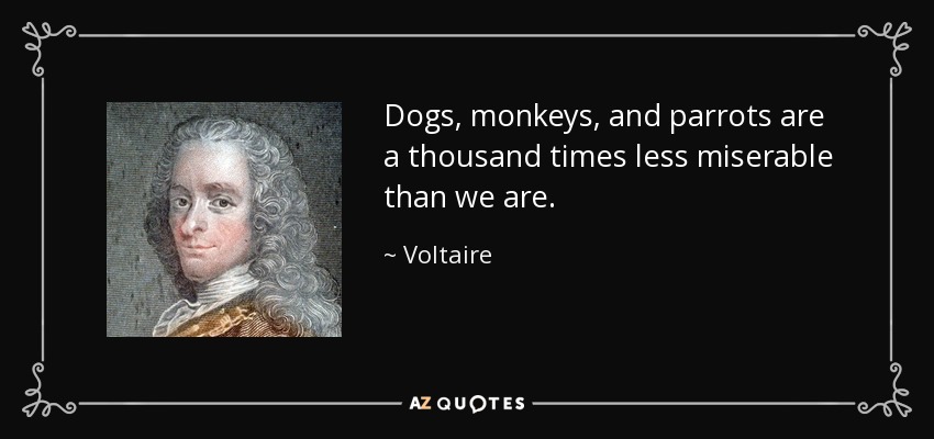 Dogs, monkeys, and parrots are a thousand times less miserable than we are. - Voltaire