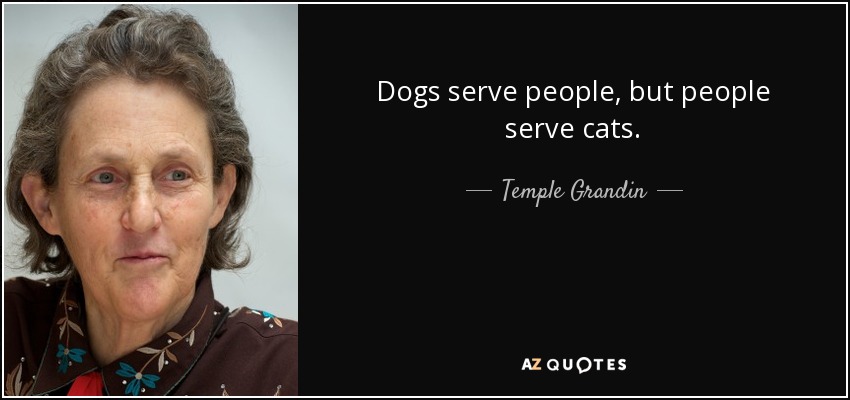 Dogs serve people, but people serve cats. - Temple Grandin