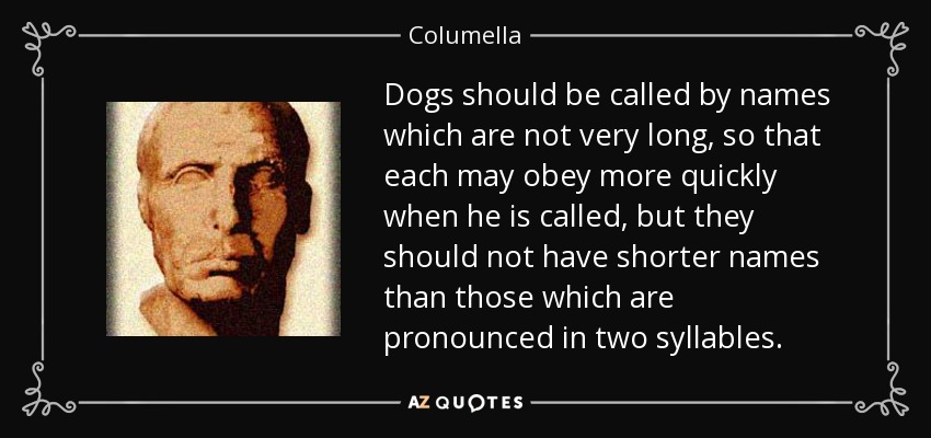 Dogs should be called by names which are not very long, so that each may obey more quickly when he is called, but they should not have shorter names than those which are pronounced in two syllables. - Columella