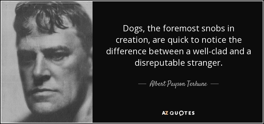 Dogs, the foremost snobs in creation, are quick to notice the difference between a well-clad and a disreputable stranger. - Albert Payson Terhune