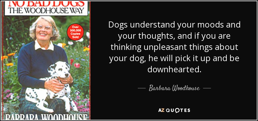 Dogs understand your moods and your thoughts, and if you are thinking unpleasant things about your dog, he will pick it up and be downhearted. - Barbara Woodhouse