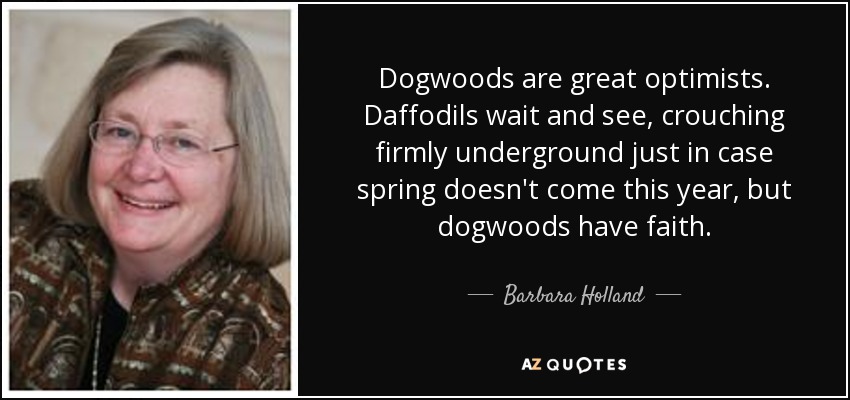 Dogwoods are great optimists. Daffodils wait and see, crouching firmly underground just in case spring doesn't come this year, but dogwoods have faith. - Barbara Holland
