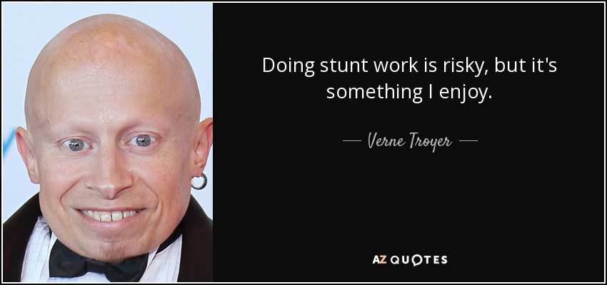 Doing stunt work is risky, but it's something I enjoy. - Verne Troyer