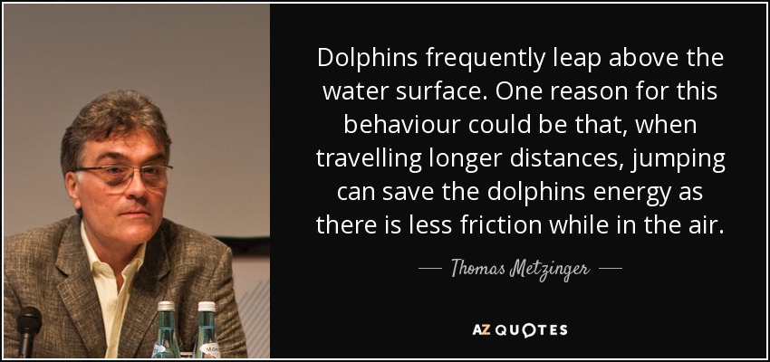 Dolphins frequently leap above the water surface. One reason for this behaviour could be that, when travelling longer distances, jumping can save the dolphins energy as there is less friction while in the air. - Thomas Metzinger