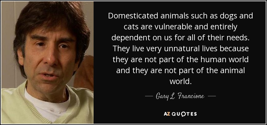 Domesticated animals such as dogs and cats are vulnerable and entirely dependent on us for all of their needs. They live very unnatural lives because they are not part of the human world and they are not part of the animal world. - Gary L. Francione