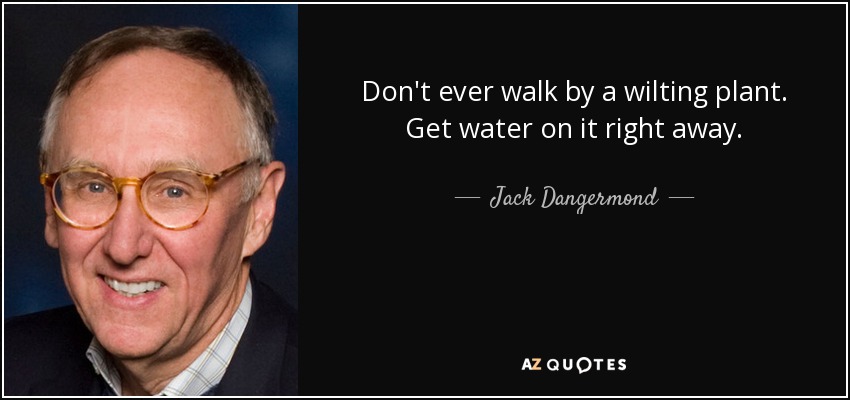 Don't ever walk by a wilting plant. Get water on it right away. - Jack Dangermond