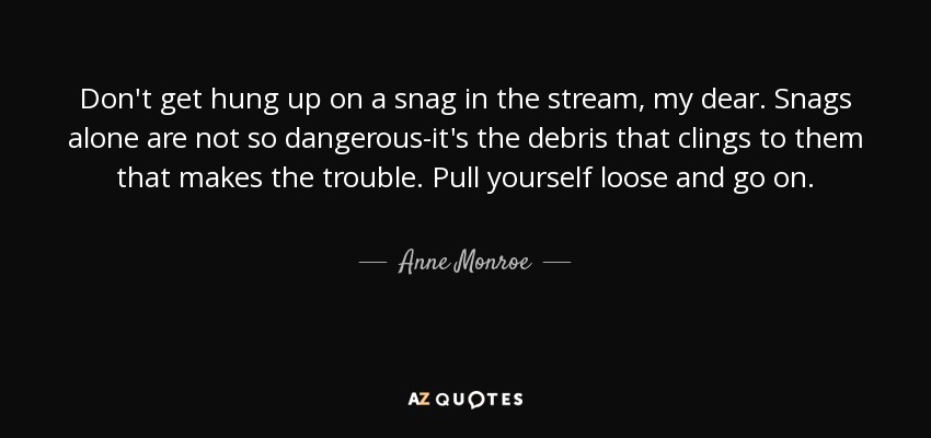 Don't get hung up on a snag in the stream, my dear. Snags alone are not so dangerous-it's the debris that clings to them that makes the trouble. Pull yourself loose and go on. - Anne Monroe