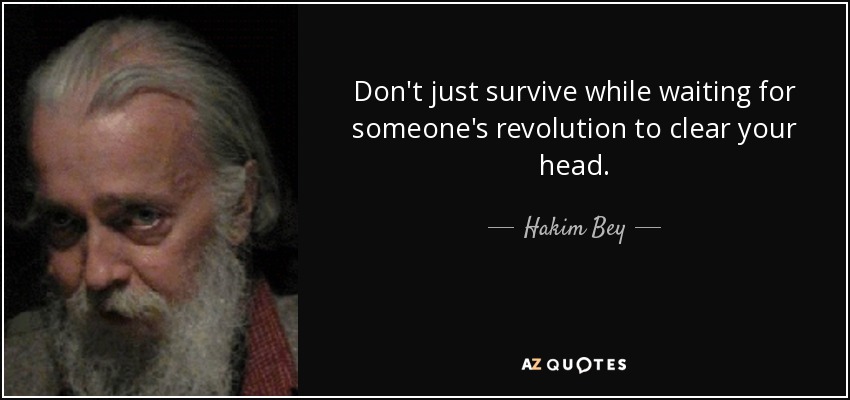 Don't just survive while waiting for someone's revolution to clear your head. - Hakim Bey
