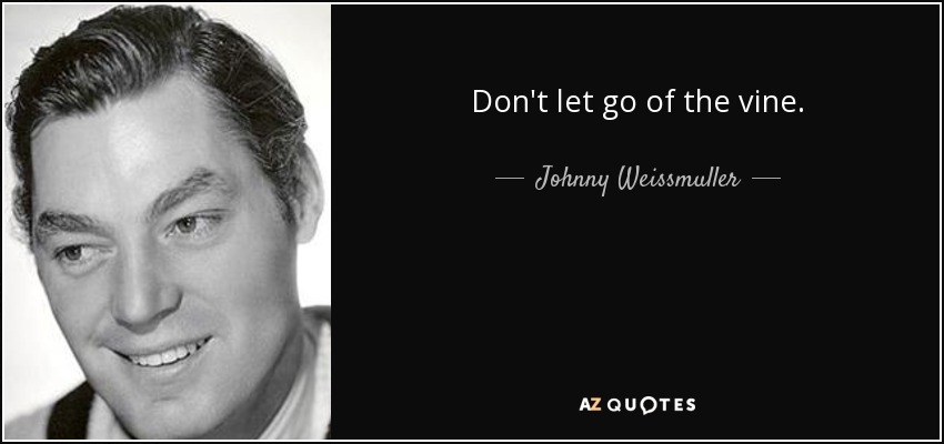 Don't let go of the vine. - Johnny Weissmuller